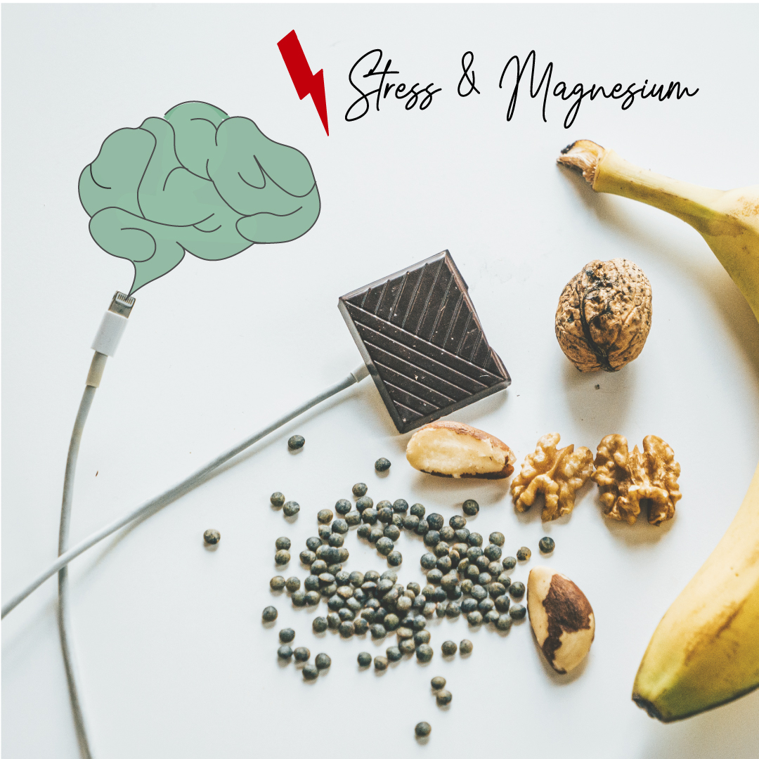 Magnésium et stress, un cercle vicieux Nathalie Faggianelli