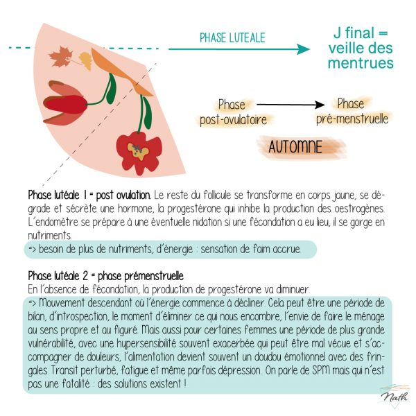 Le Cycle Menstruel Nathalie Faggianelli