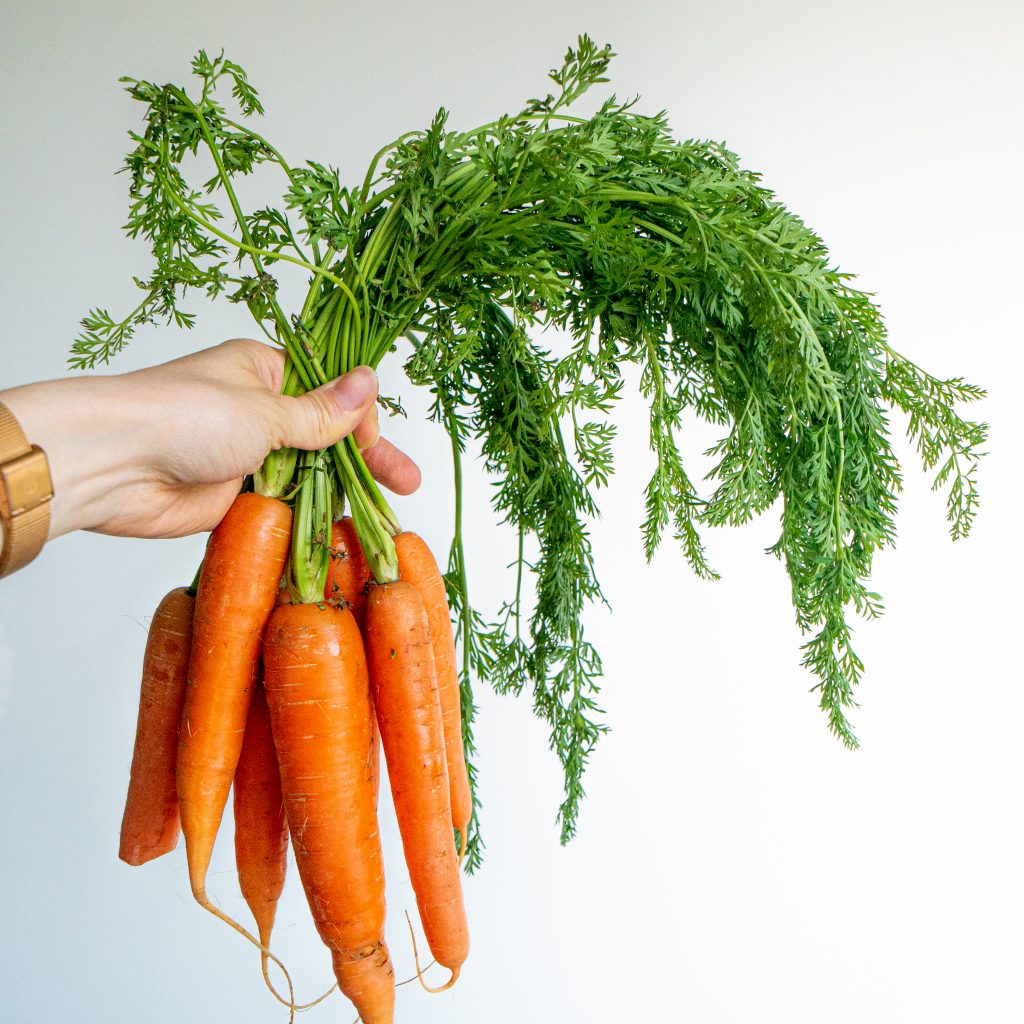 Tartinade de fanes de carotte :