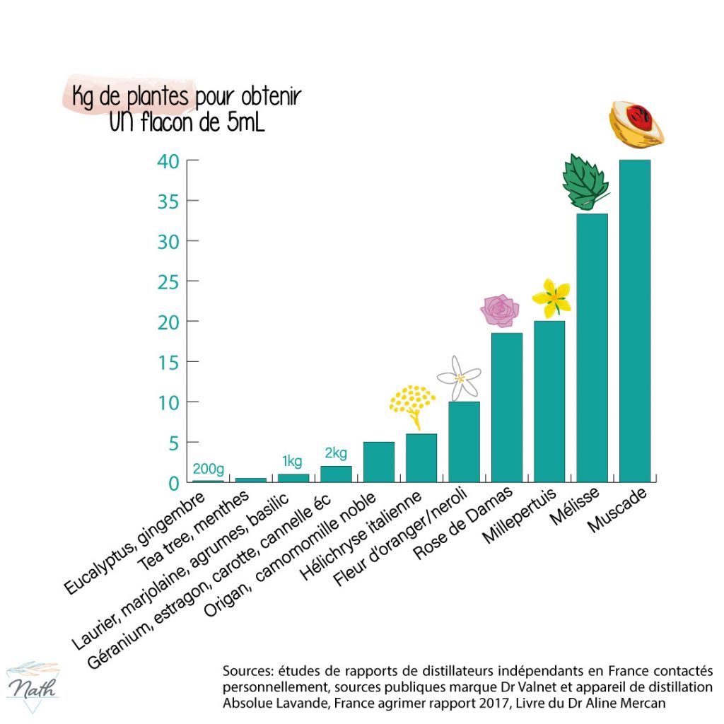 infographie synthétique sur les rendements de production des huiles essentielles les plus communes