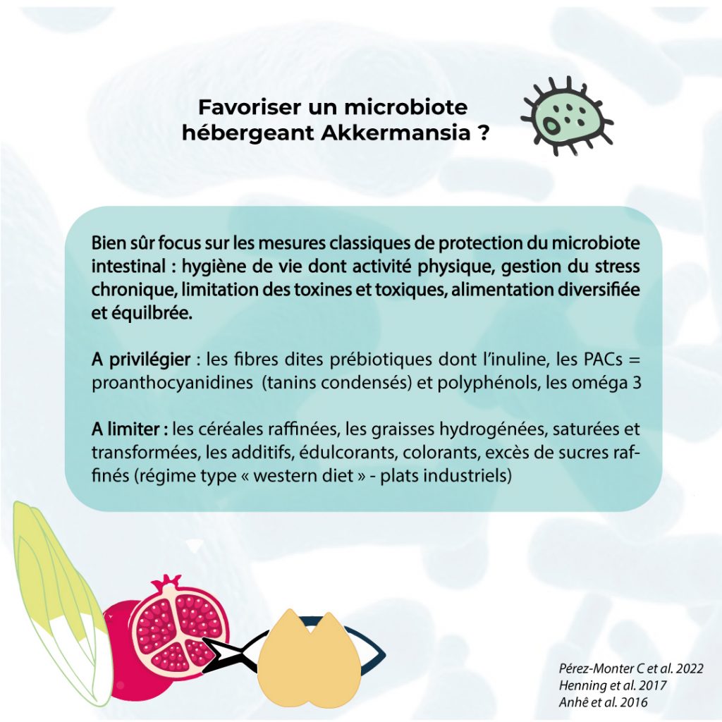 Favoriser un microbiote hébergeant Akkermansia muciniphila